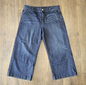 Banana Republic Dark Blue Wide Leg Cropped Denim Jeans